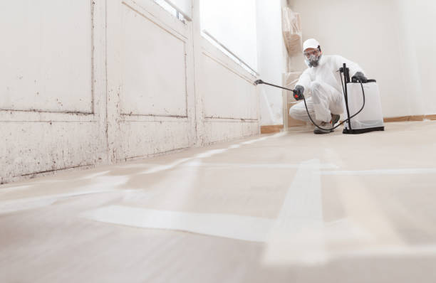 24/7 Emergency Mold Removal experts in Mattapan, MA